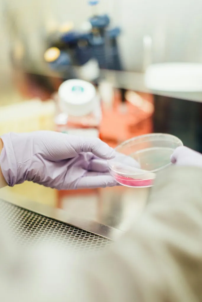 China’s largest cell-cultured meat plant